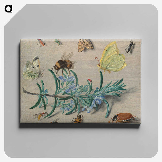 1-24_Jan-Van-Kessel_canvas