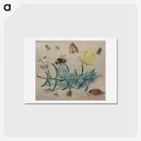 1-24_Jan-Van-Kessel_hagaki