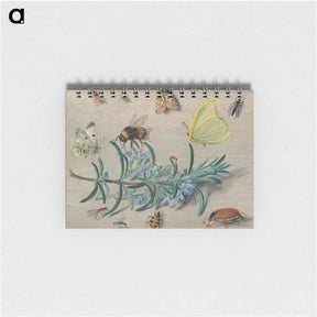 1-24_Jan-Van-Kessel_memo