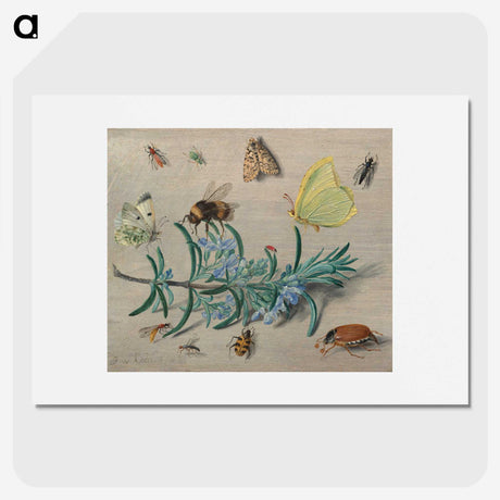 1-24_Jan-Van-Kessel_picture