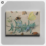 アートパネル-Insects and a Sprig of Rosemary
 - ヤン ファン ケッセル Canvas.