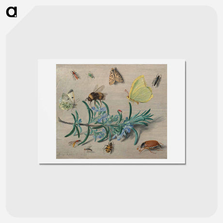 アートポストカード-Insects and a Sprig of Rosemary
 - ヤン ファン ケッセル Postcard.