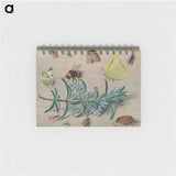 アートメモ帳-Insects and a Sprig of Rosemary
 - ヤン ファン ケッセル Memo.