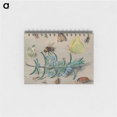 アートメモ帳-Insects and a Sprig of Rosemary
 - ヤン ファン ケッセル Memo.