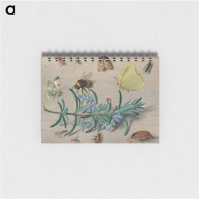 アートメモ帳-Insects and a Sprig of Rosemary
 - ヤン ファン ケッセル Memo.
