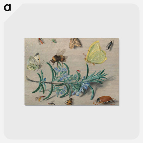 アートポストカード-Insects and a Sprig of Rosemary
 - ヤン ファン ケッセル Postcard.