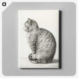 1-24_Jean-Bernard_canvas