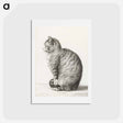 アートポストカード-Sitting cat - ジャン ベルナール Postcard.