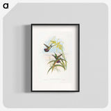 1-24_John-Gould_blk