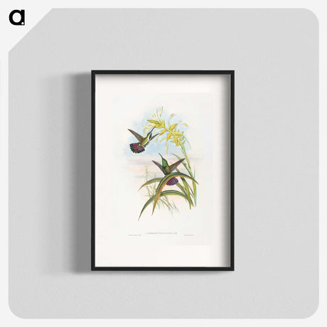 1-24_John-Gould_blk