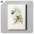 1-24_John-Gould_canvas