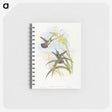1-24_John-Gould_memo