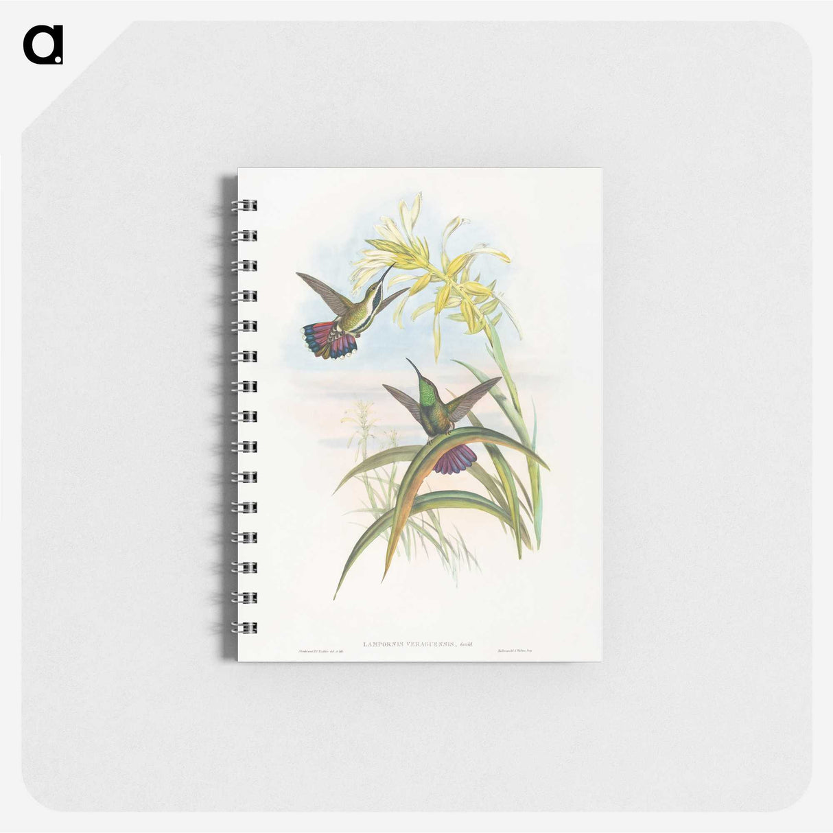 1-24_John-Gould_memo