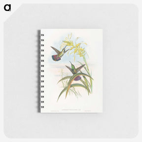 1-24_John-Gould_memo