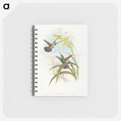 1-24_John-Gould_memo