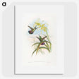 1-24_John-Gould_picture