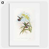 1-24_John-Gould_picture