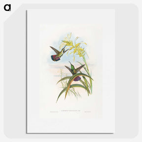 1-24_John-Gould_picture