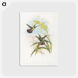 1-24_John-Gould_postcard