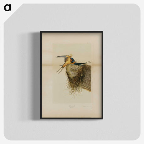 1-24_John-James-Audubon_blk-crop