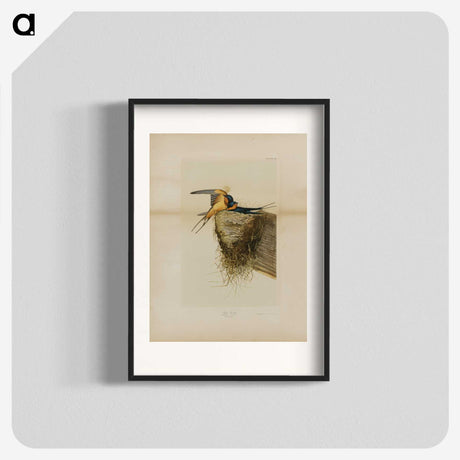 1-24_John-James-Audubon_blk