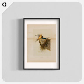 アートポスター-Barn Swallow
 - ジョン ジェームス オーデュボン Poster.