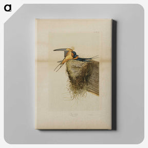 1-24_John-James-Audubon_canvas