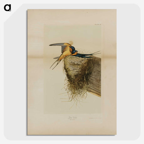 1-24_John-James-Audubon_picture-crop