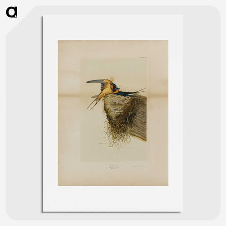 1-24_John-James-Audubon_picture