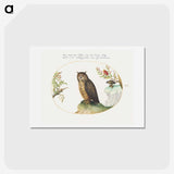 1-24_Joris-Hoefnagel_hagaki