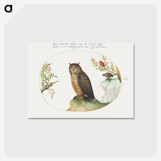 1-24_Joris-Hoefnagel_postcard