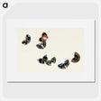1-24_Kamisaka-Sekka_picture