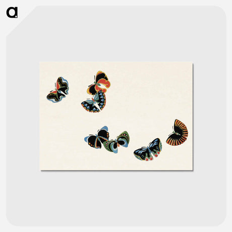 アートポストカード-One Thousand Butterflies - 神坂 雪佳 Postcard.