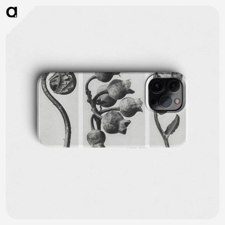 1-24_Karl-Blossfeldt_phone