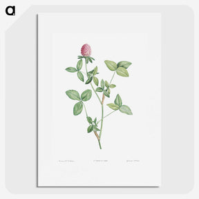 1-24_La-Botanique_picture