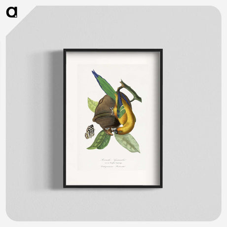 1-24_Le-Jardin-des-Plantes_blk