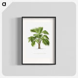 1-24_Les-Palmiers-Histoire-Iconographique_blk
