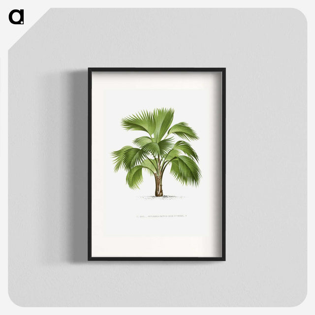 1-24_Les-Palmiers-Histoire-Iconographique_blk