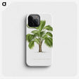 1-24_Les-Palmiers-Histoire-Iconographique_phone