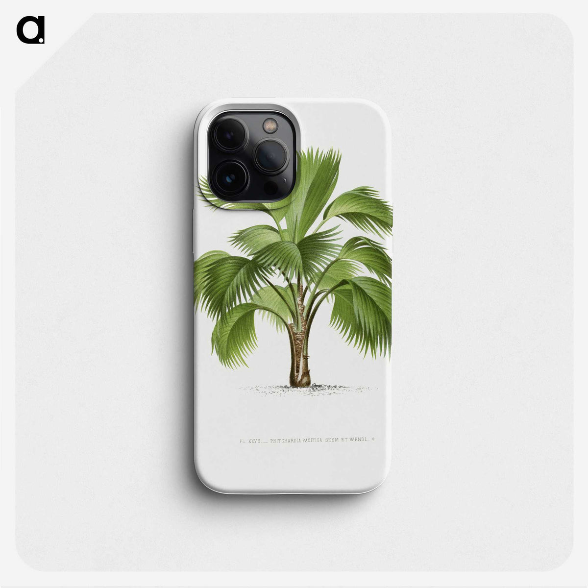 1-24_Les-Palmiers-Histoire-Iconographique_phone