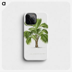 1-24_Les-Palmiers-Histoire-Iconographique_phone