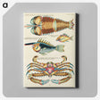 1-24_Louis-Renard_canvas