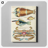 1-24_Louis-Renard_canvas