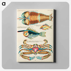 アートパネル-Indian and Pacific Ocean Creatures
 - ルイ ルナール Canvas.