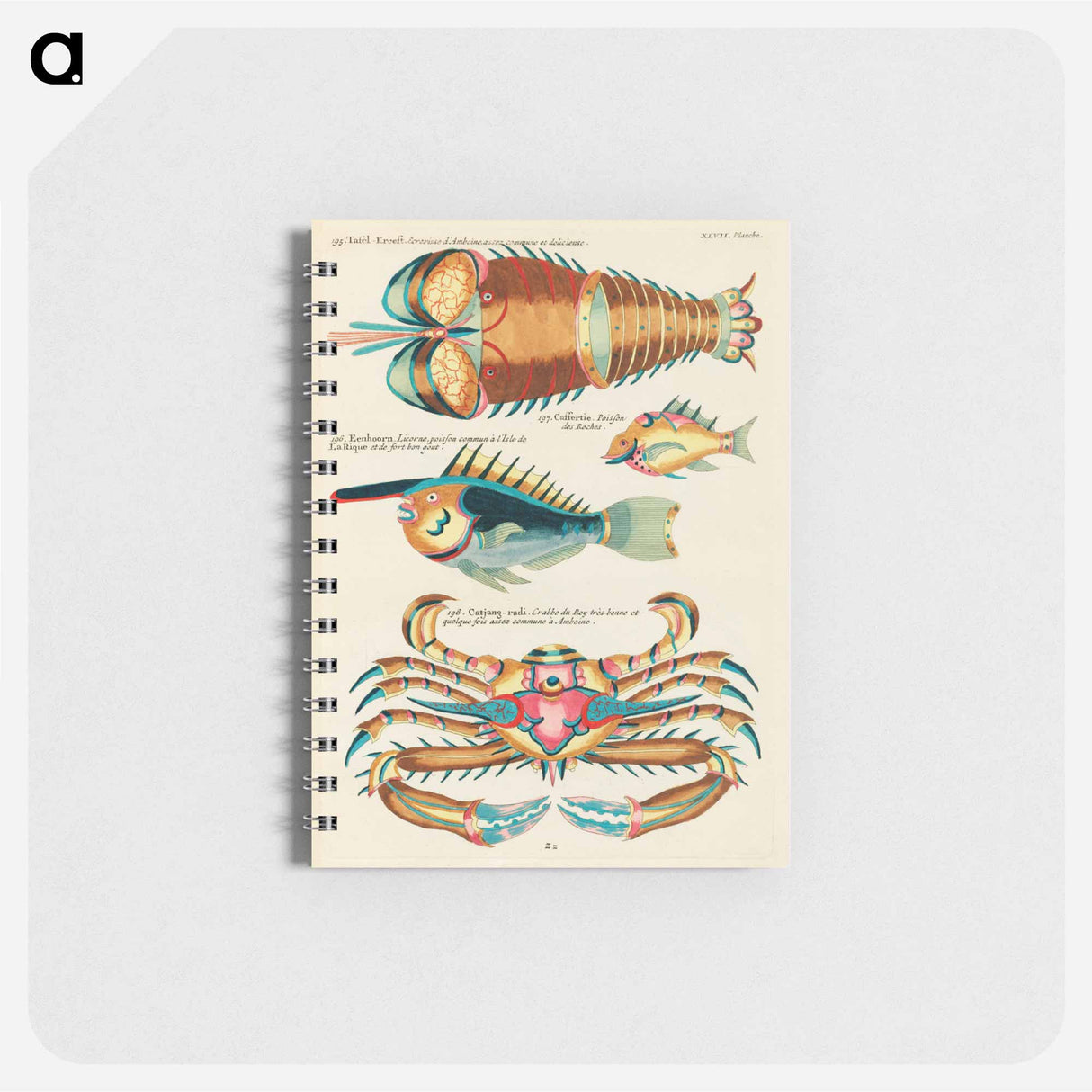 Indian and Pacific Ocean Creatures
 - ルイ ルナール Memo.