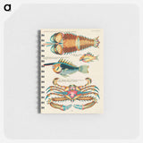 Indian and Pacific Ocean Creatures
 - ルイ ルナール Memo.