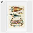 1-24_Louis-Renard_picture