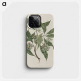 Pittosporum viridiflorum
 - ルイージ バルガーニ Phone Case.