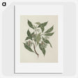 1-24_Luigi-Balugani_picture