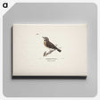 1-24_Magnus-von-Wright_canvas